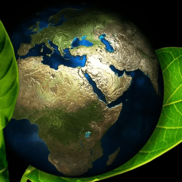 Dia Mundial do Meio&nbsp;Ambiente