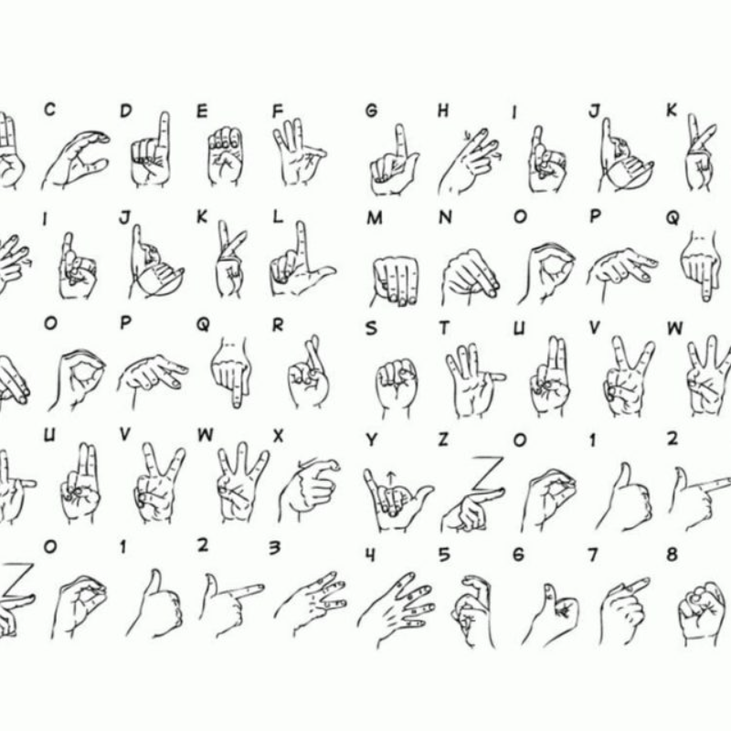 Projeto propõe conteúdo de Libras nos currículos da educação&nbsp;básica