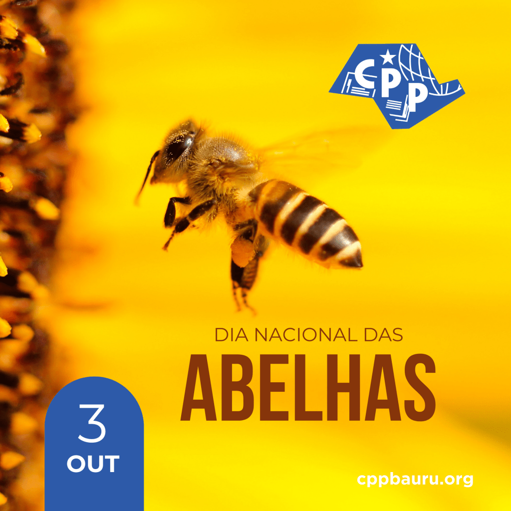 Dia Nacional das Abelhas 🔔 3 de&nbsp;outubro