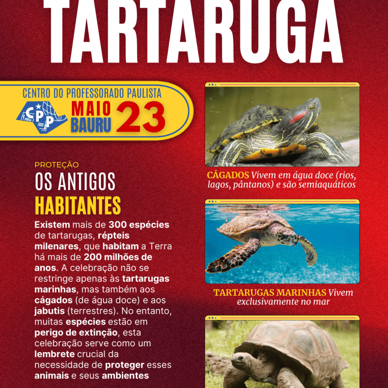 🔔 Dia Mundial da Tartaruga 🕗 23 de&nbsp;Maio