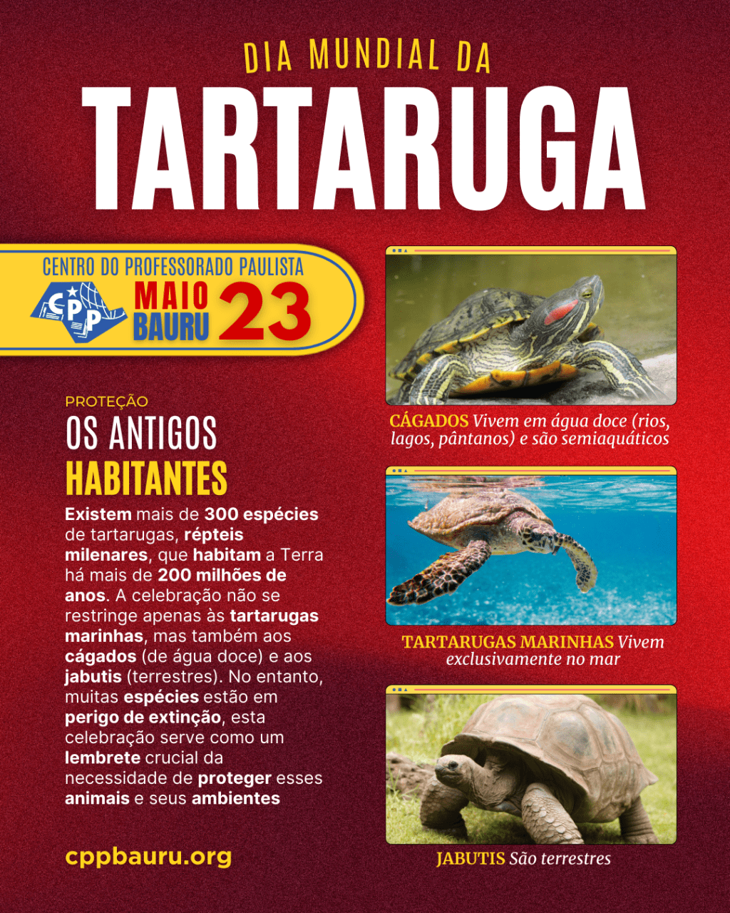 🔔 Dia Mundial da Tartaruga 🕗 23 de&nbsp;Maio