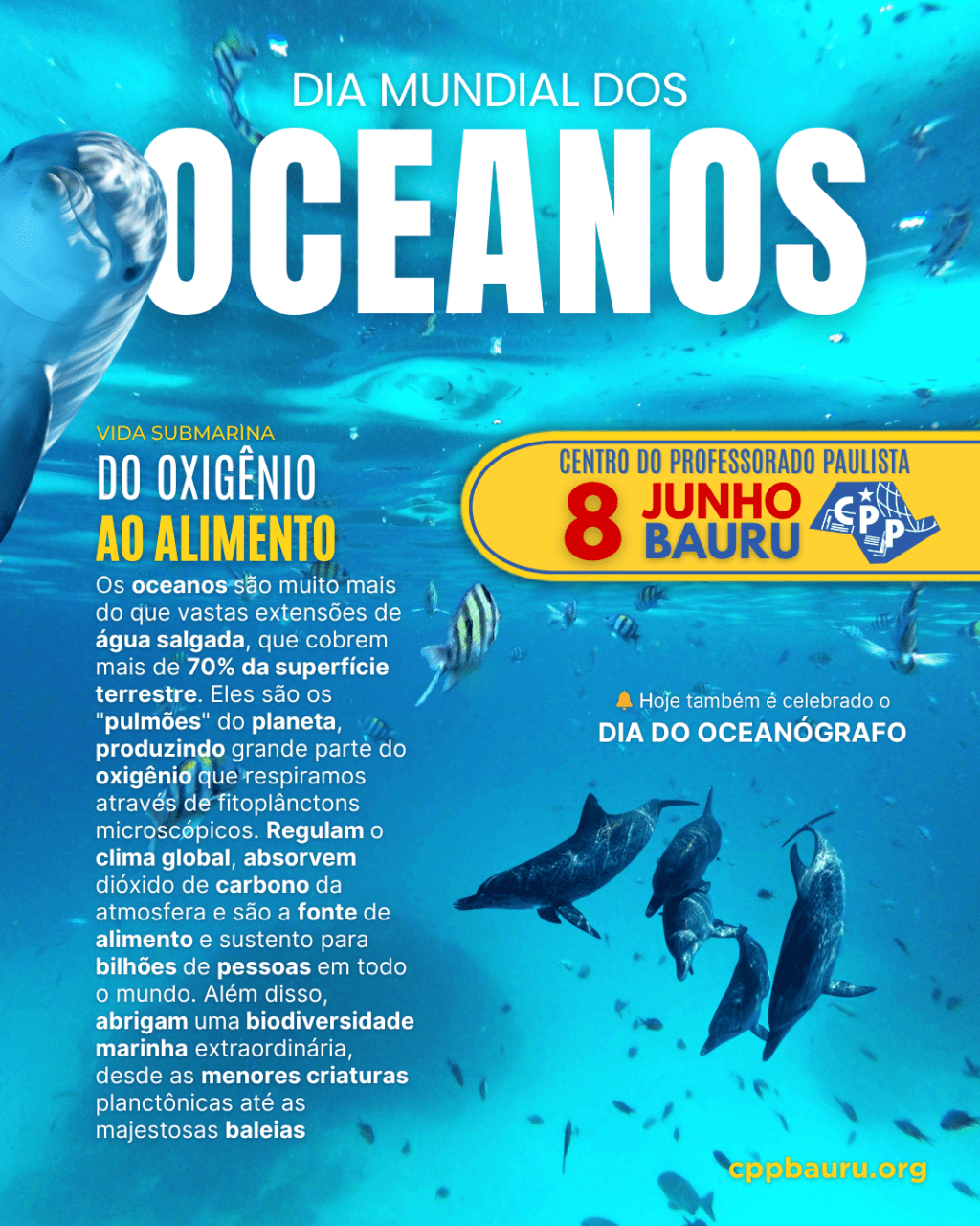🔔 Dia Mundial dos Oceanos 🕗 8 de&nbsp;Junho